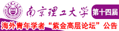 肏美女的浪逼南京理工大学第十四届海外青年学者紫金论坛诚邀海内外英才！